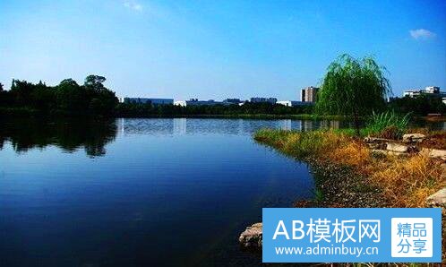 三青岛城阳区又称小韩国