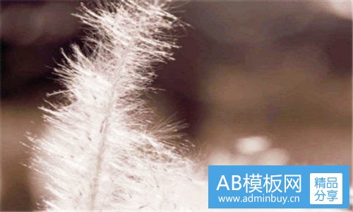三黎姓之家