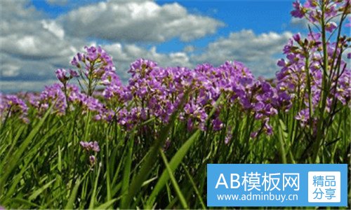 二璐瑶这个牌子怎么样