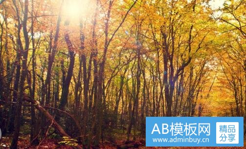 二应用统计学出来能干嘛