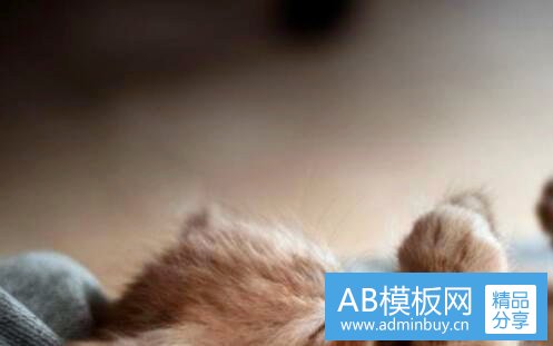三应用统计学就业待遇