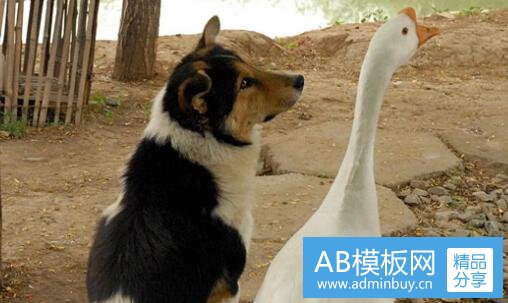 三如何判断内屏被调包