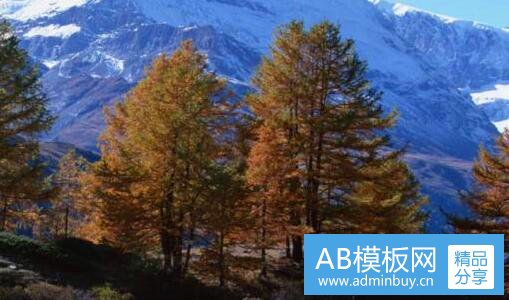 三乔布斯最著名的名言