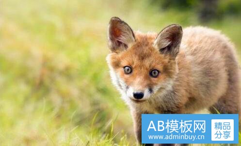 二高登铝材标志