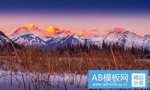 三魅族李楠