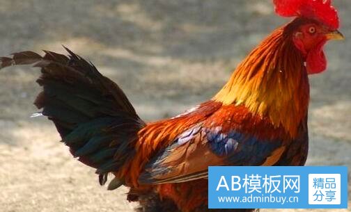 一杀了我治愈我
