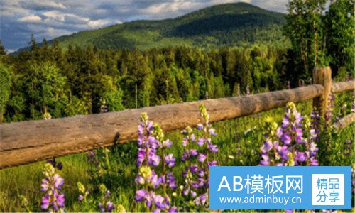 二广州联通固话办理