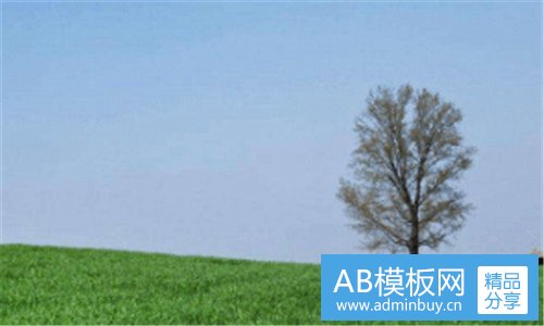 一白鸟