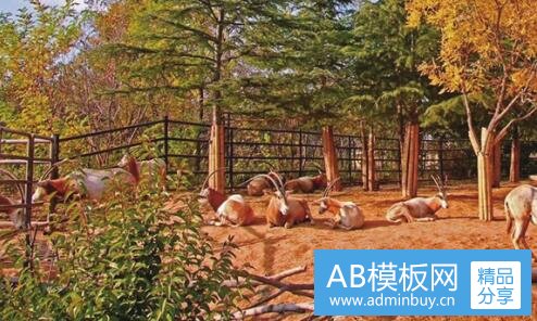 二东道设计公司难进吗
