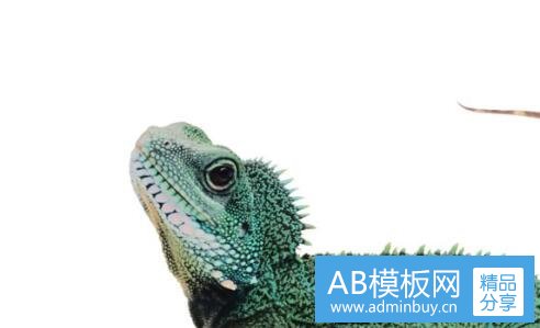 二为什么情侣开双标间