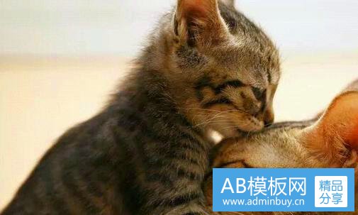 三沙特基础上班不好