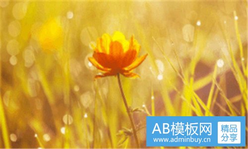 三幼师如何考
