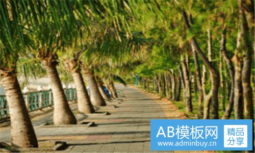 三湖北招聘信息网站
