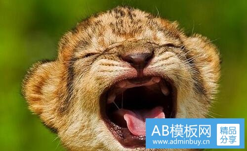 一衡水信息网