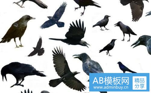 一qq风尚壁纸