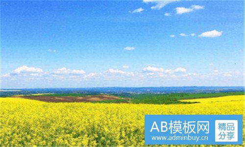 二长春学英语在哪里有好学校