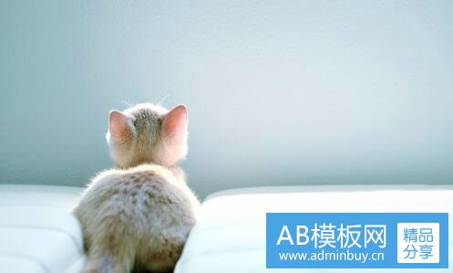 三贺兰县为什么是特区