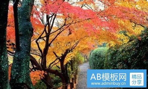 一贺兰县