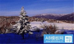 21-21世纪经济网