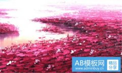 波提斯-dnf拍卖行宠物哪个好