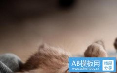 美食美客-美食美客官网