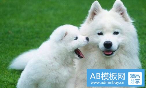 三爱弥儿摘抄