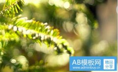 马拉松训练方法-室内马拉松训练方法