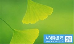 宿松人才网-宿松论坛招聘信息