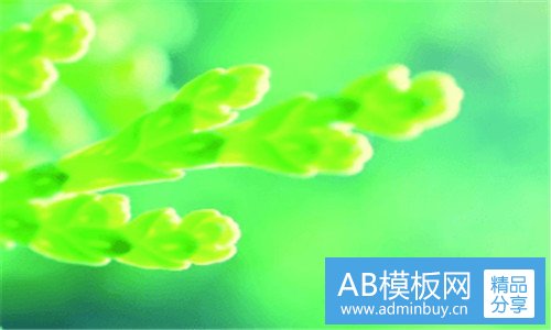 三黑色残骸的鬼是什么