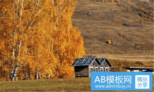 一上海外语口译