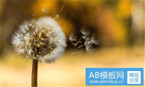 三美妍堂
