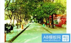 有关母亲的作文-有关母爱的作文800