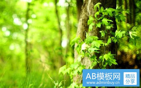 二康如洗发水什么档次