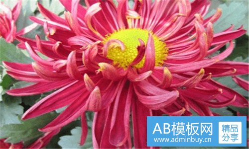 二南方基金理财产品