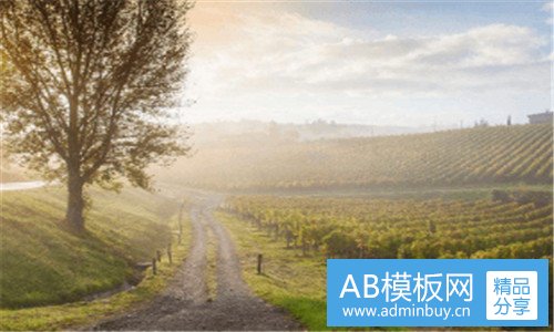 二滕州市5个街道划分图