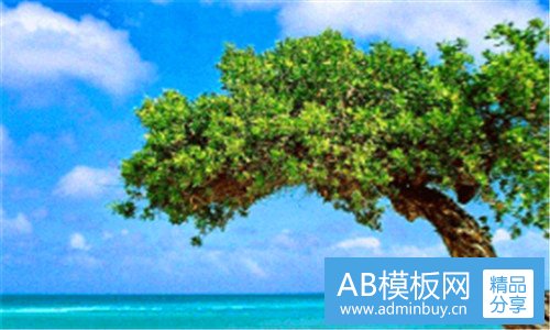 二玛莎拉蒂炫富女