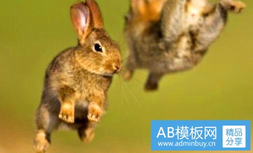 二澳洲肺鱼为什么这么贵