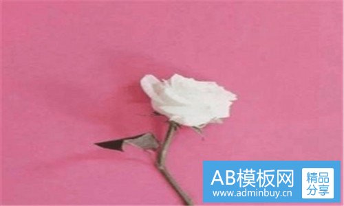 二乌苏小说大结局