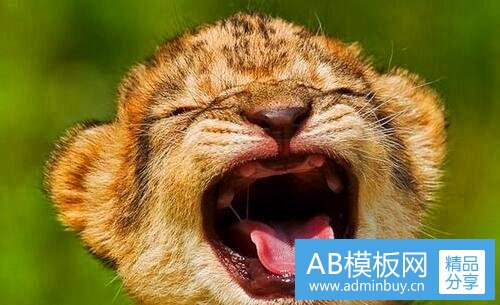 一申元虎