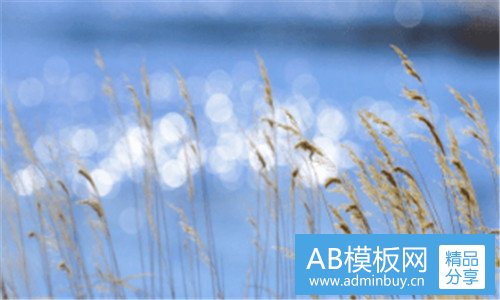 三中国沙发客网