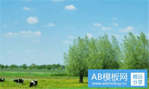 一长春房地产网