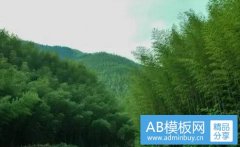 榨汁机和料理机的区别-料理机与榨汁机作用有何不同