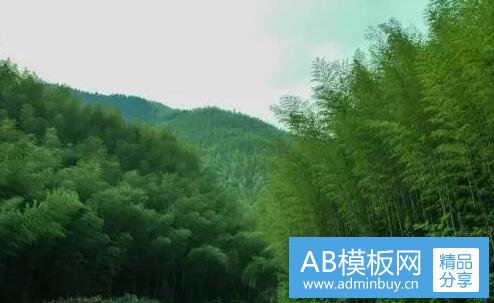 一榨汁机和料理机的区别