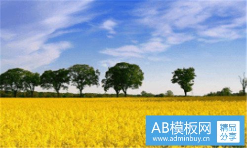 一新浪福建
