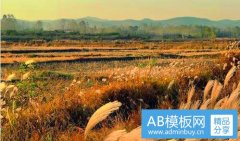 定火车票-查询最新火车票时刻表