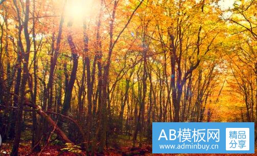 三女武神4剧情必死的三人