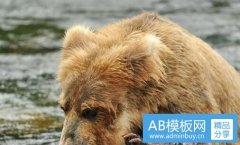 玩具堡-100平淘气堡一年的利润