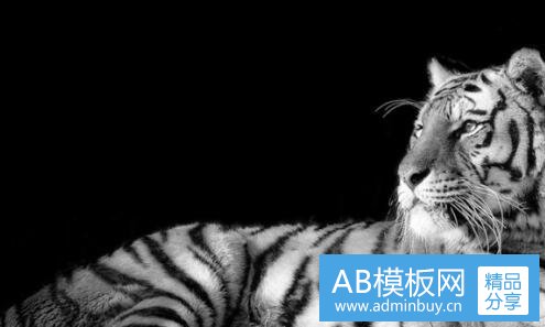 一欧美剧