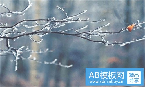 三正确泡发海参的方法