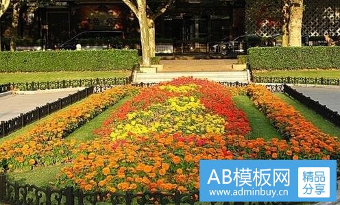 二桑果可以怎么吃
